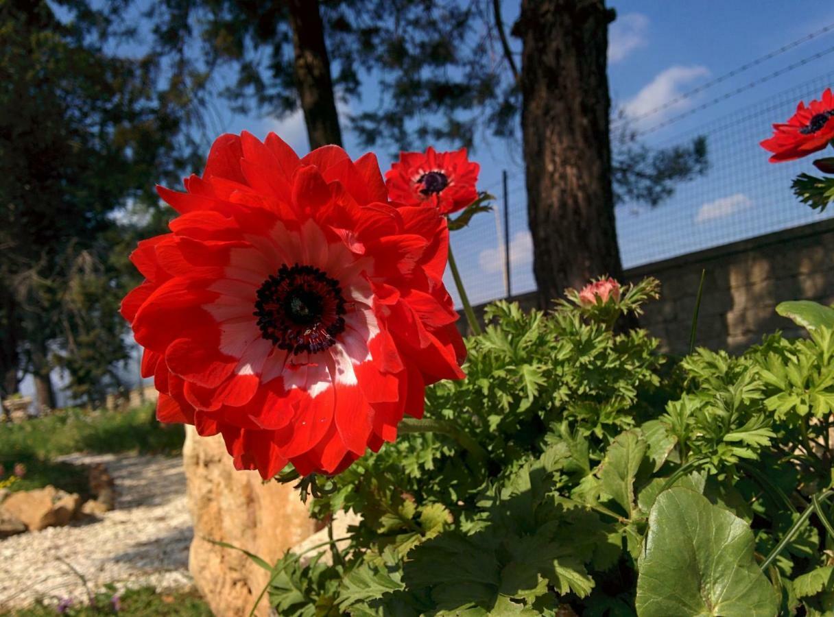 Villa 2 Fields Castellaneta Kültér fotó